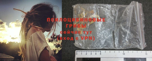 прущая мука Няндома