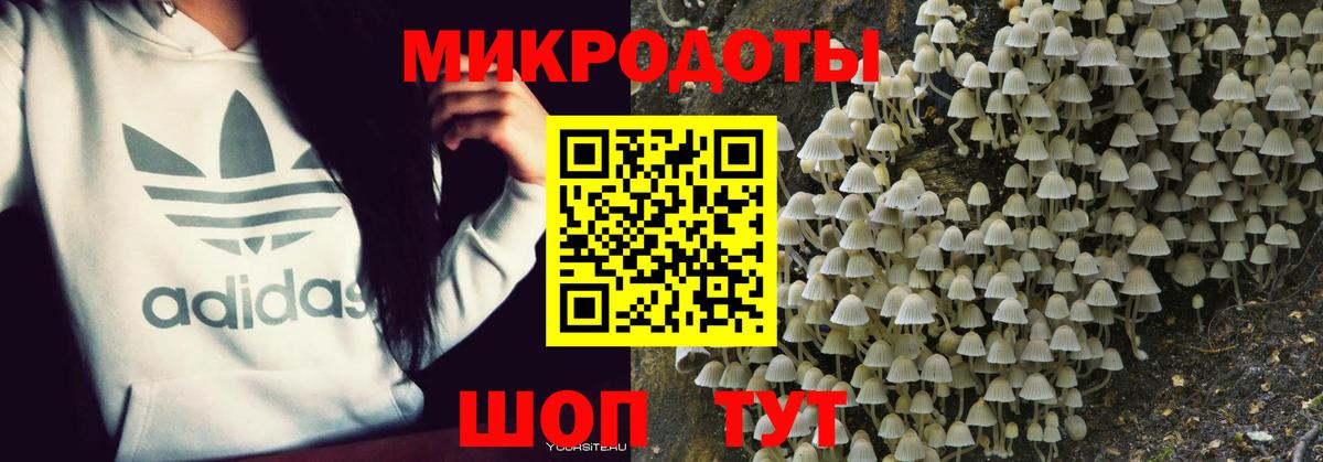 Галлюциногенные грибы MAGIC MUSHROOMS  Галлюциногенные грибы Cubensis  Вход с VPN  Красногорск 