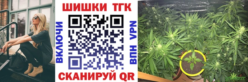 Канабис сатива  где найти наркотики  Красногорск 